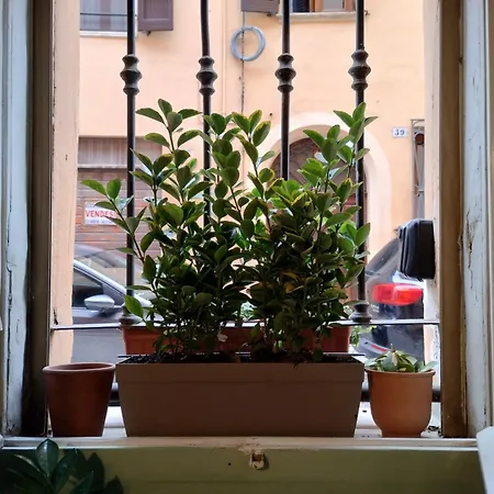 アパート Carillon House *