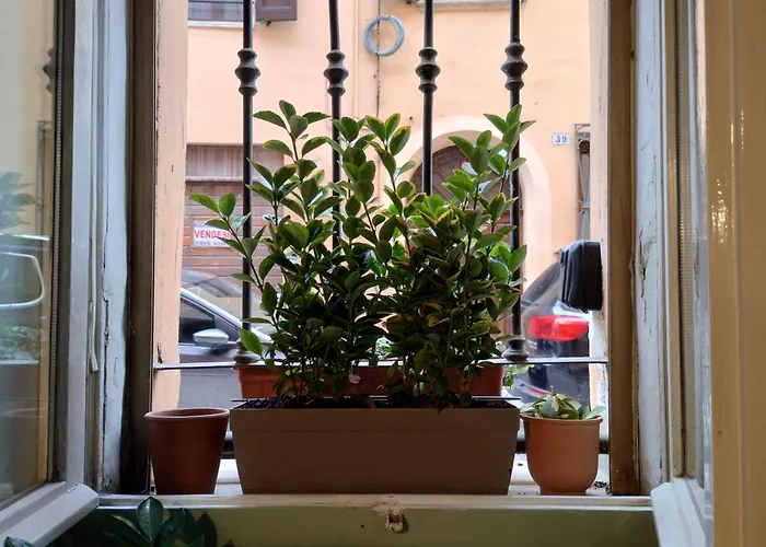 Apartman Carillon House *